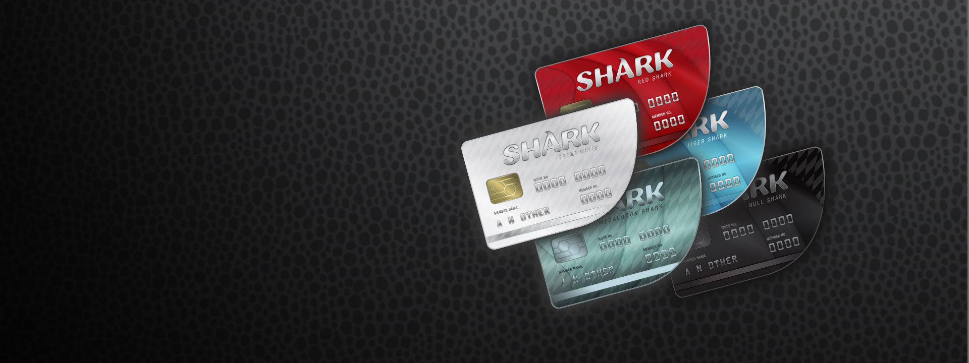 Pięć różnych kolorowych kart kredytowych Shark ułożonych w linii. 