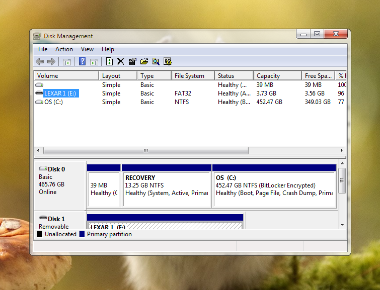 Xbox File Manager Problems playing files from a camera or portable media device on Xbox ...