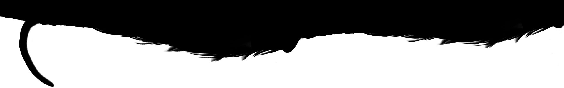 Černobílý obrázek krysí srsti a ocasu.