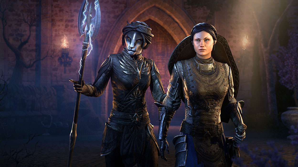 Een Khajiit Companion met een metalen staf met bliksemvonken staat naast een vrouwelijke ridder