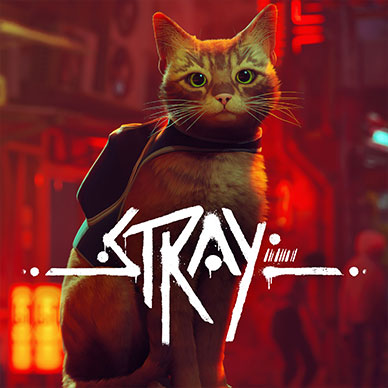 Image du jeu Stray