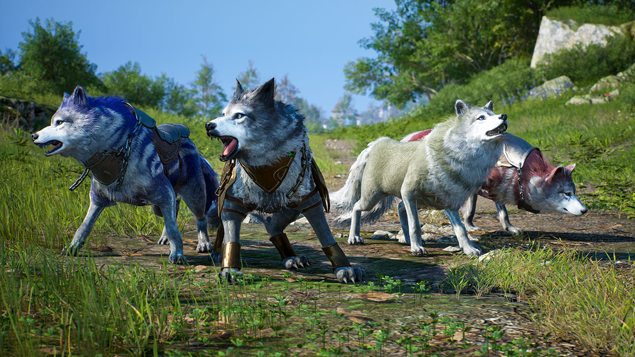 Four wolfs wearing armour standing together on a grassy trail. 